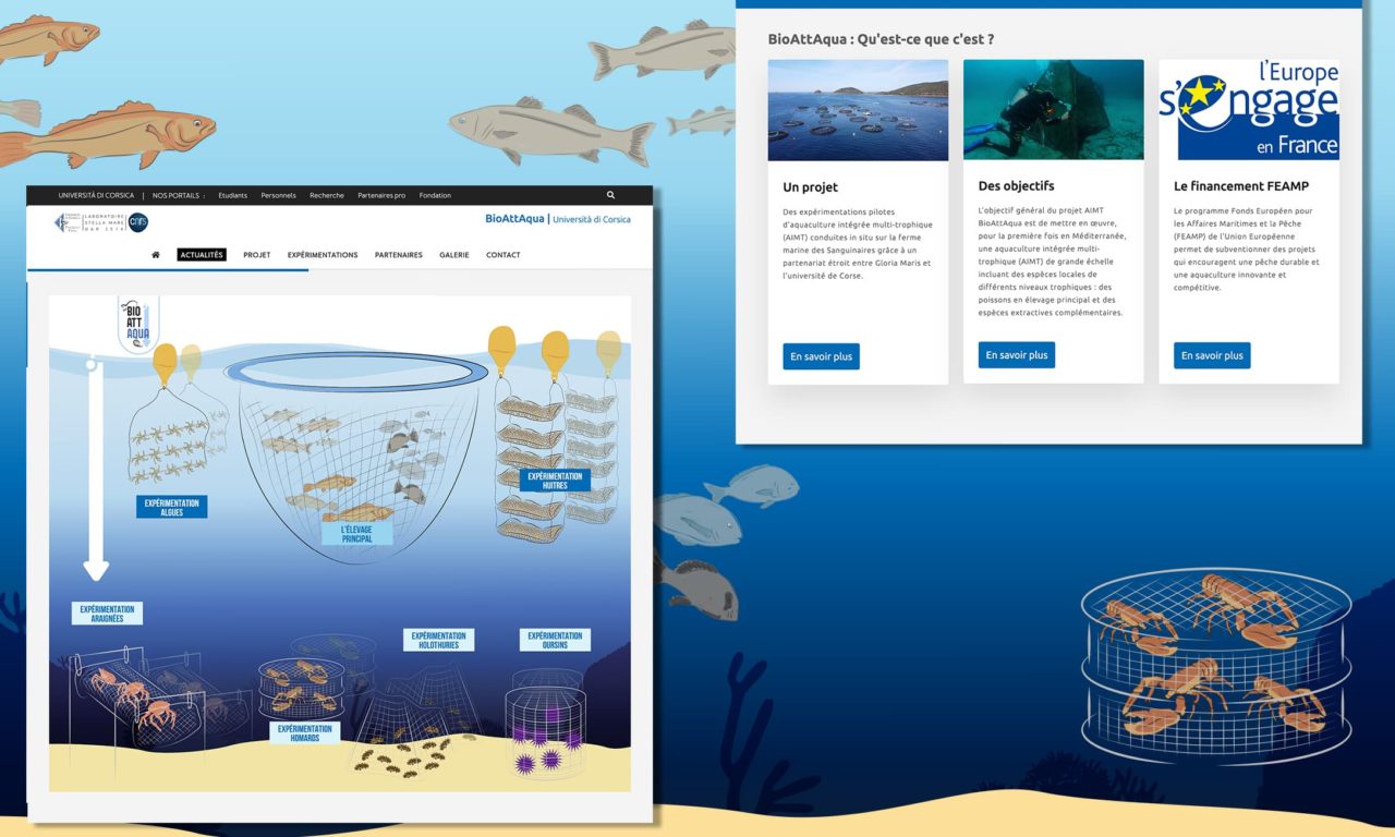 Réalisation du site internet de BioAttAqua